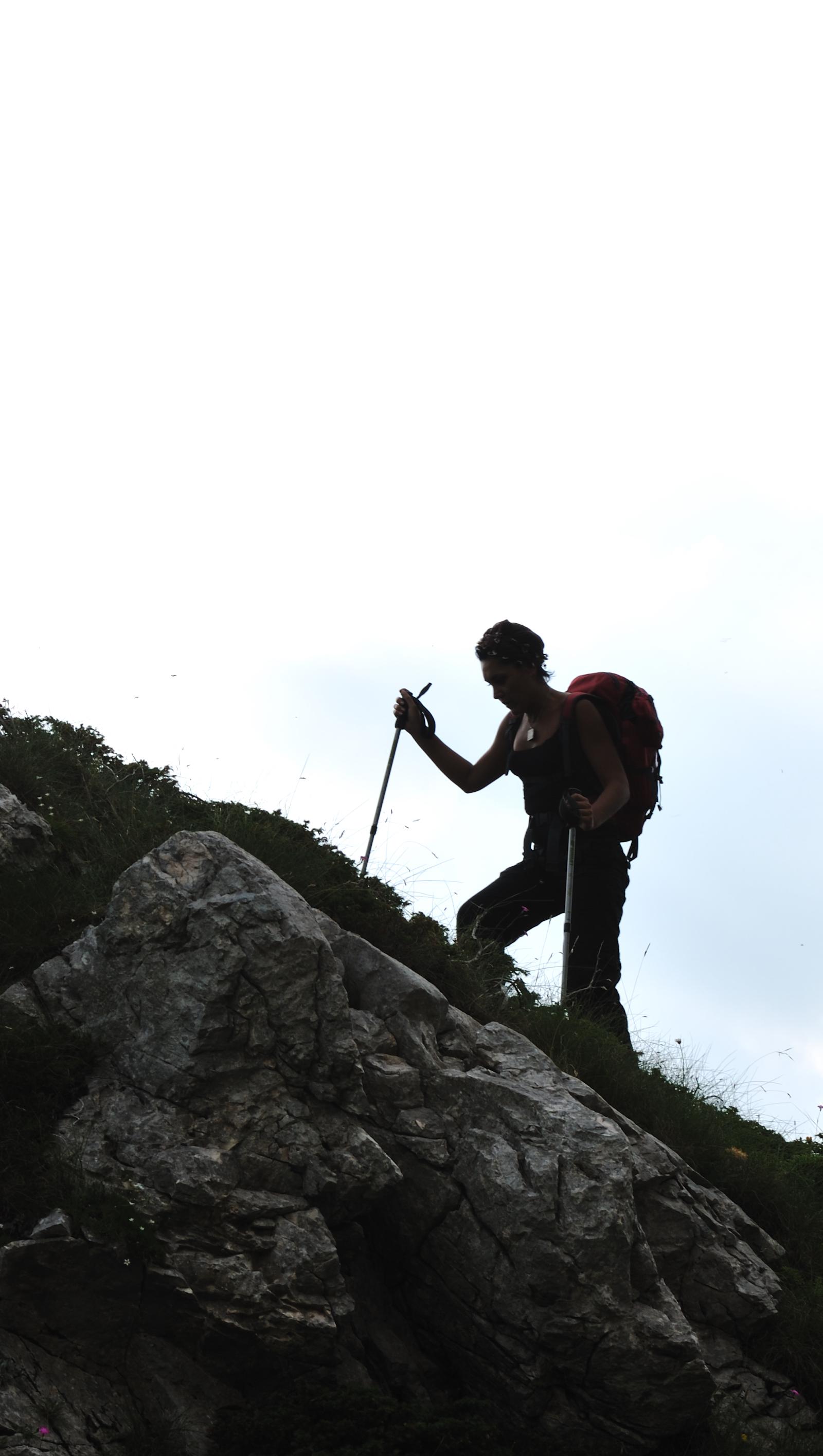 Munich's Walking Trails: 2km Flat Loops to 9km Mountain Climbs
